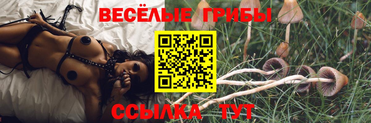 Медногорск  Галлюциногенные грибы прущие грибы  Вход с VPN 